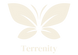 Terrenity Logo & Brand Kit (2).png