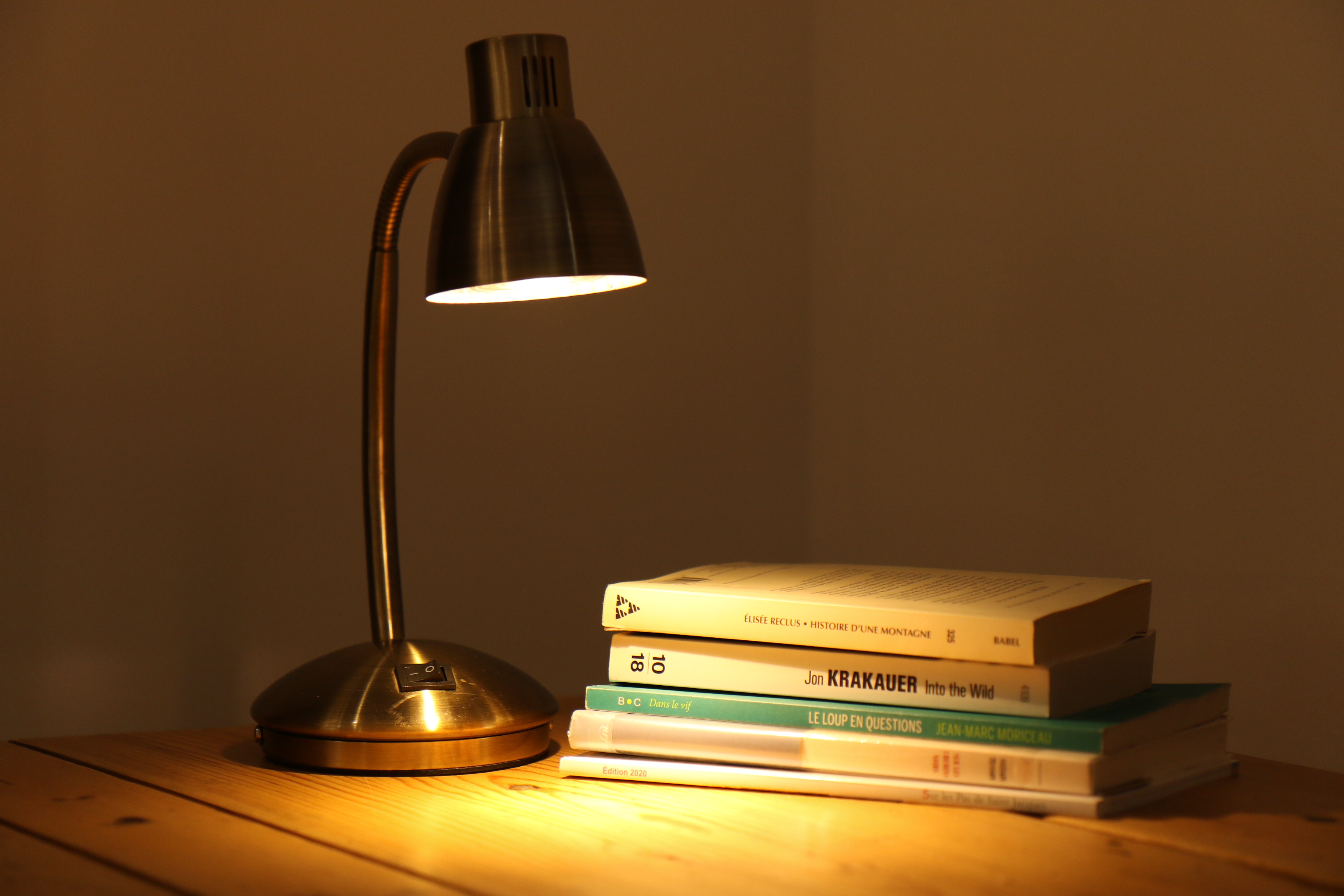 Chambre d'hôtes à la librairie de Nasbinals photo 4