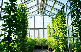 sector-greenhouse-CvfOoyic.jpg