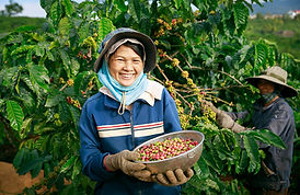 idh-eudr-coffee-farmer-smile-ch.jpg