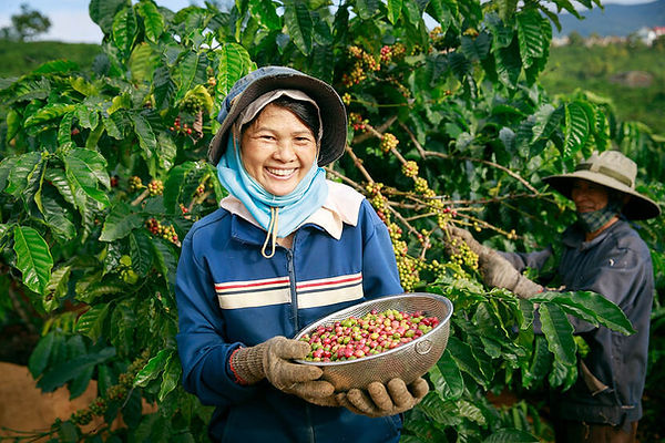 idh-eudr-coffee-farmer-smile-ch.jpg