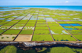 sector-aqua-NkhSIZ7a.jpg