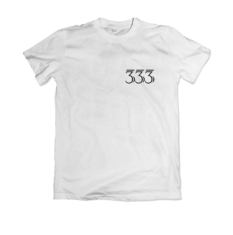 Angel 333
