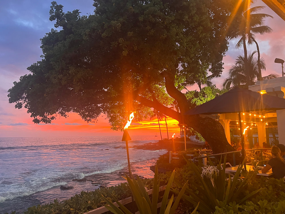 The Foodie's Guide to Kona Eats, by a Local Big Island Car Rental