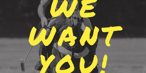 Expression of Interest – Polo Academy Operator