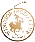 WPC Logo Gold