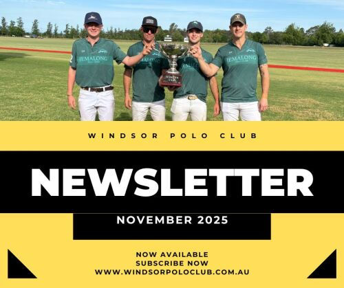 November Newsletter 2025