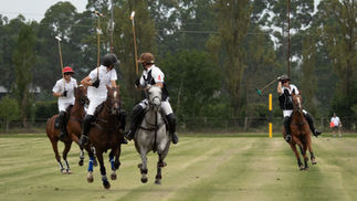 Pre-Ellerston Tournament - Windsor Polo Club - 7th & 8th March 2026