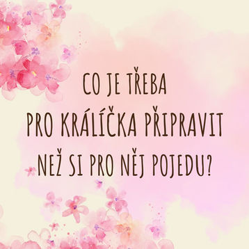 kawai grafika věcí pro ubytování králíčka a text