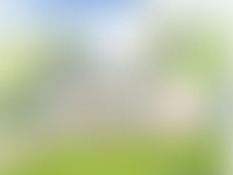 Welcome to our Blog!