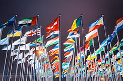Unifying Communication for a Diverse Team Under Pressure