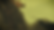 Asset 713ww.png