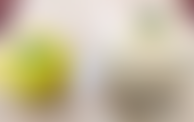 メロンの収穫🍈