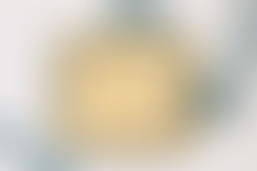 The Ring Pictures to Take on Your Wedding Day