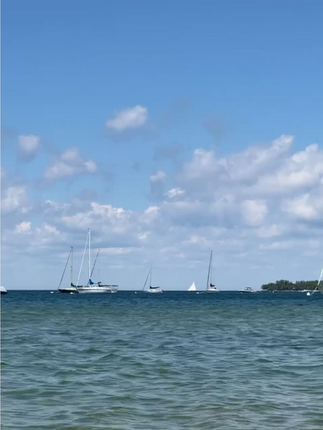 sailboats on water in Lake Michigan