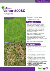 Indigo Voltar 500 brochurel.png