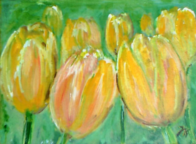 tulpen (2)