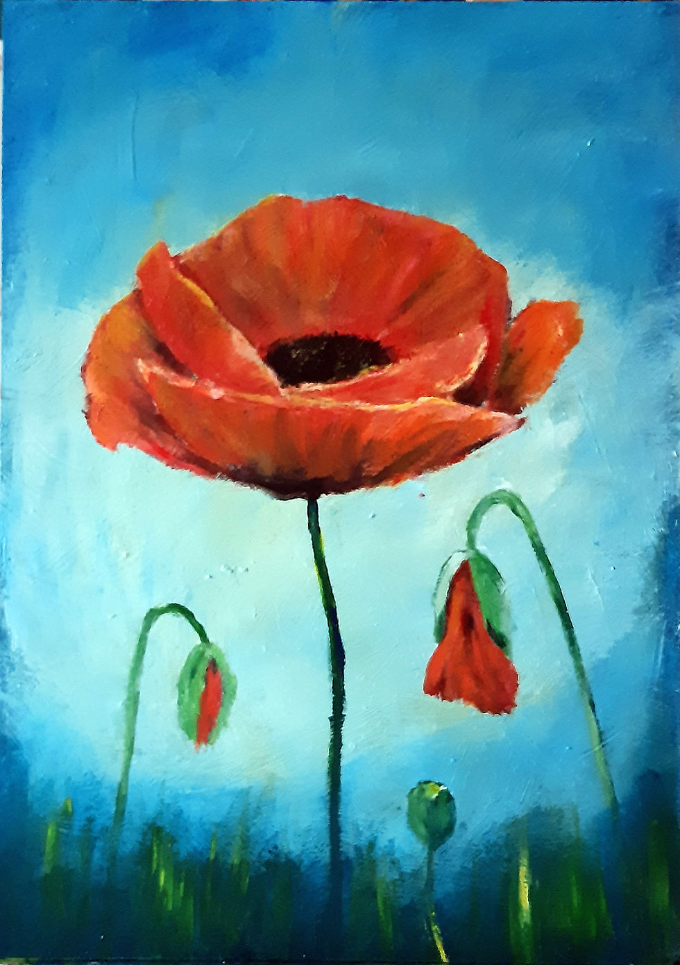 mohn (8)