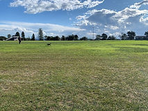 Christison park 006.jpg