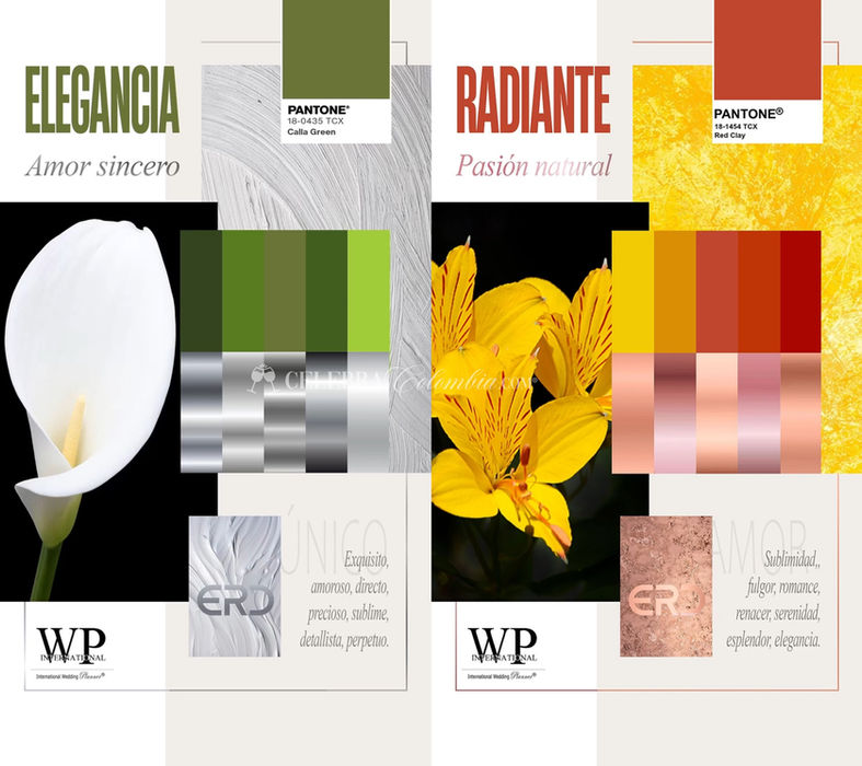 Decoración de Bodas, Eventos y Fiestas en Colombia