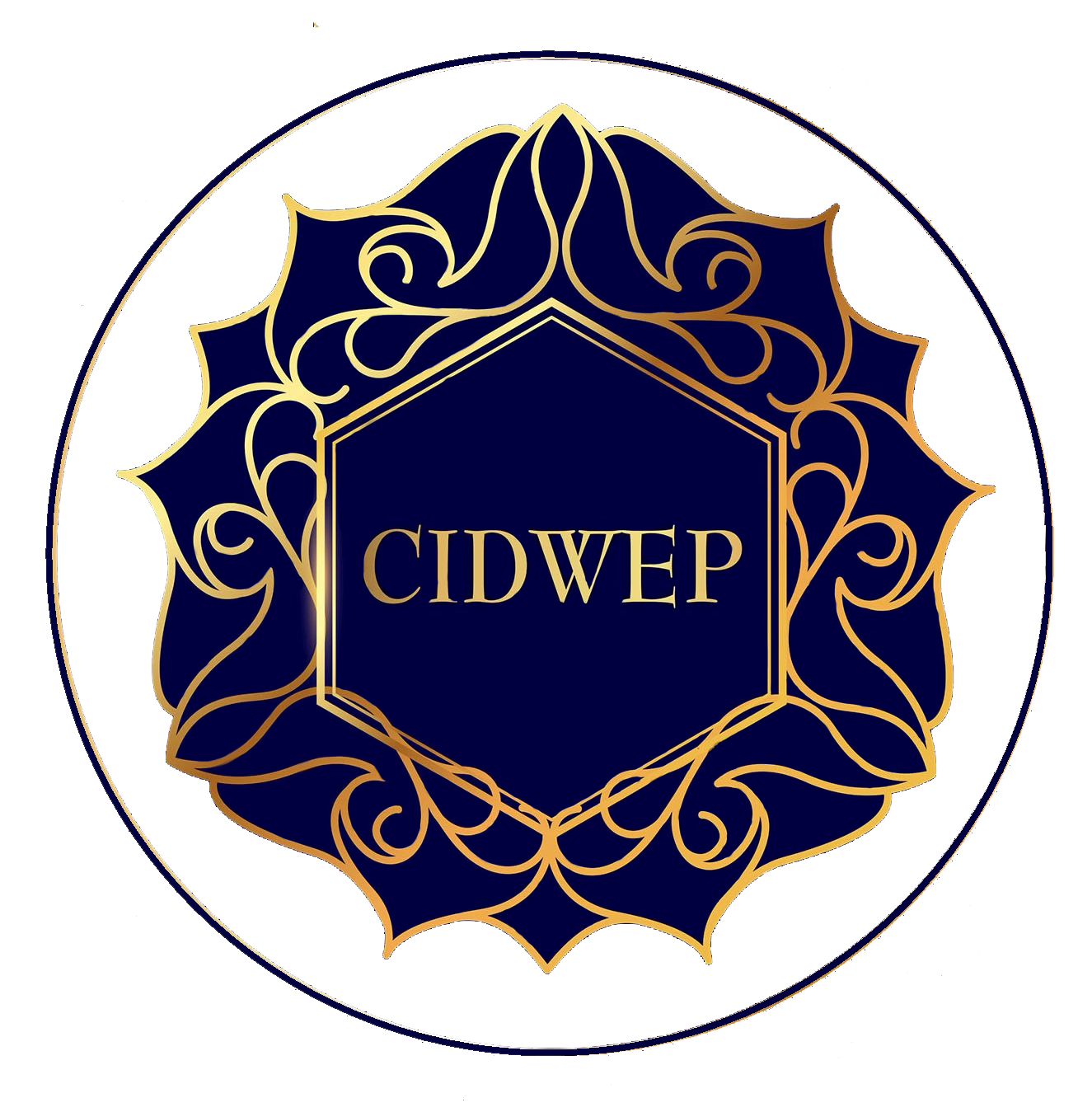 Universidad CIDWEP