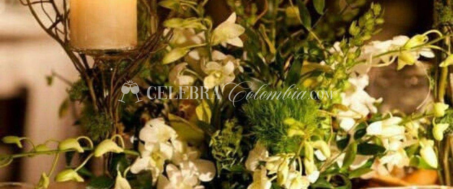 Wedding Planner en Cartagena de Indias