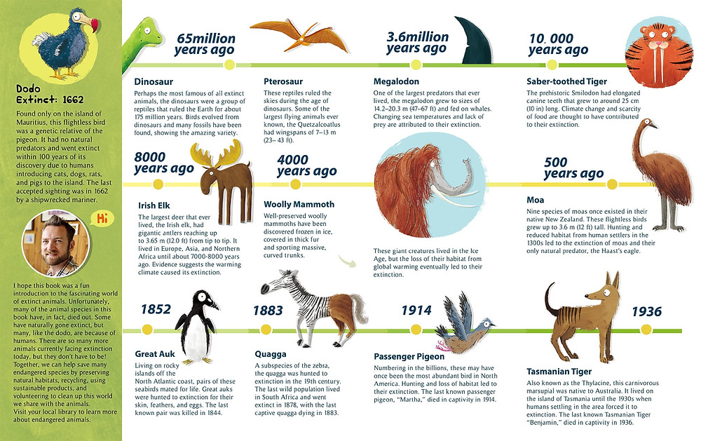 Dodos Are NOT Extinct! by Paddy Donnelly, Yeehoo Press, February 2022