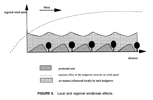 hedgerows windbreaks.png
