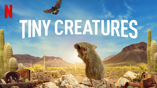 tiny creatures.jpg
