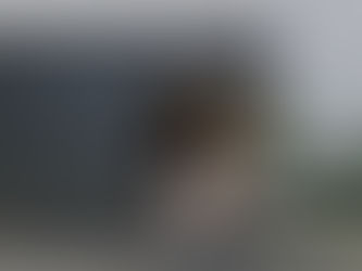 Compact and efficient unit featuring light steel panelized structure with modern design elements. Perfect for singles, couples, or as an ADU.