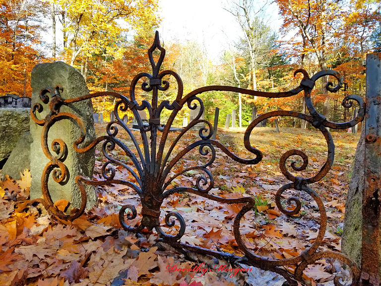 Fall Rembering the Past.jpg