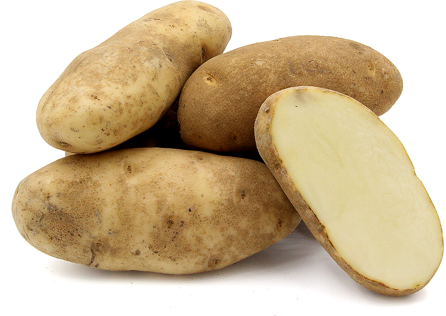 Russet Potato (5lb bag)