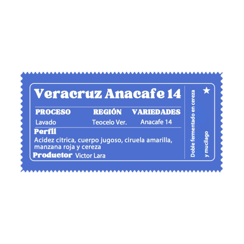 Miniatura: Veracruz Ana cafe 14