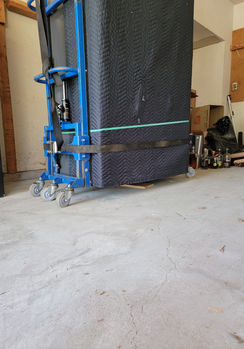 Resized_20210623_121045.jpeg