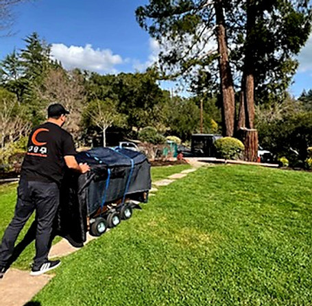 Luna's Piano Movers- All terrain piano moving