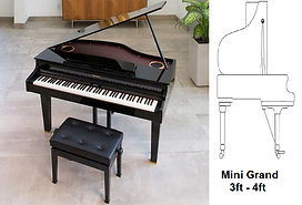 Mini Electric Grand - 3ft to 4ft