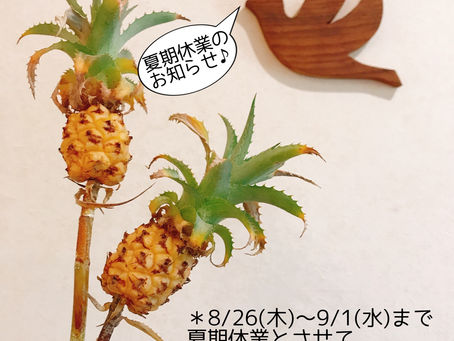 夏期休業のお知らせ🙇‍♀️