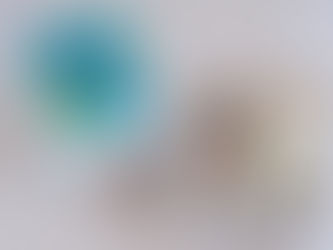 お中元のコラボ商品登場！