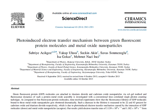 Photoinduced electron transfer mechanism between green fluorescent protein molecules and m