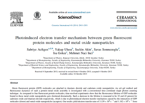 Photoinduced electron transfer mechanism between green fluorescent protein molecules and m