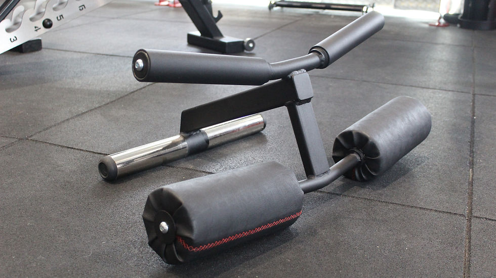 The Extreme Power Bar Curl
