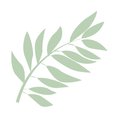 palm leaf
