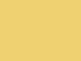 335 - Indian Yellow.jpg