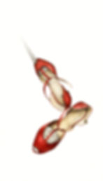 Dove il cercar si gonfia