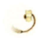 Da maneggiar con cura