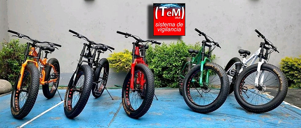 Miniatura: FATBIKE MONSTER BIFLEX