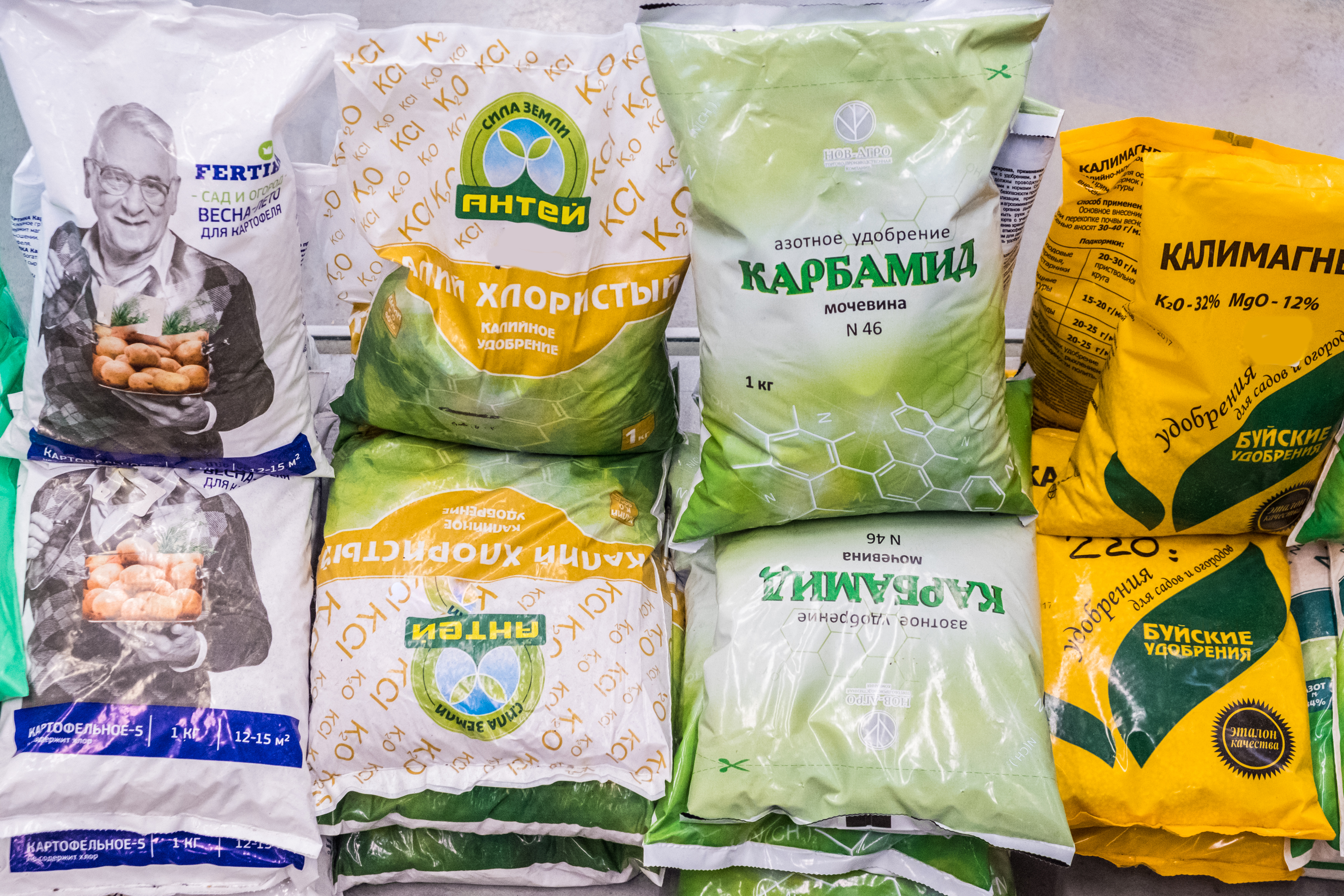 Купить Семена В Хабаровске Интернет Магазин
