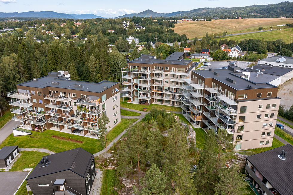 DJI_0216-HDR-Edit.jpg