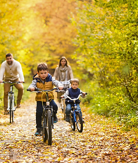 shutterstock_683407768 org-2.jpg