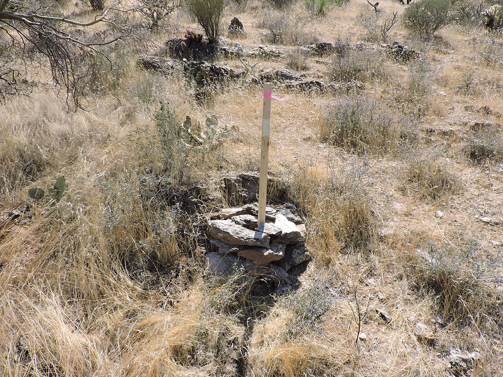 Thumbnail: Superstition Gold #3